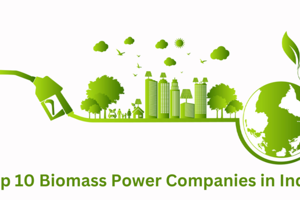 Top 10 Biomass Power Companies in India