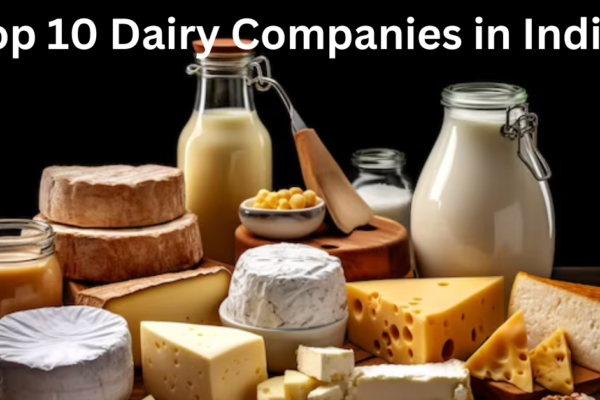 Top 10 Dairy Companies in India